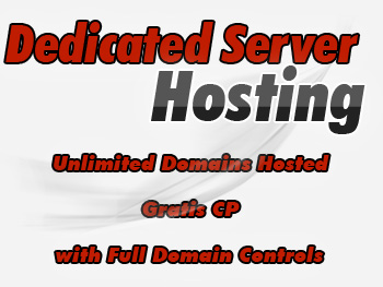 Economical dedicated servers hosting plans